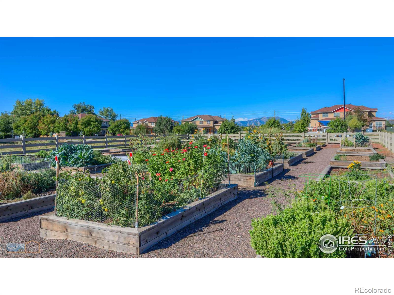 MLS Image #34 for 916  cimarron drive,lafayette, Colorado