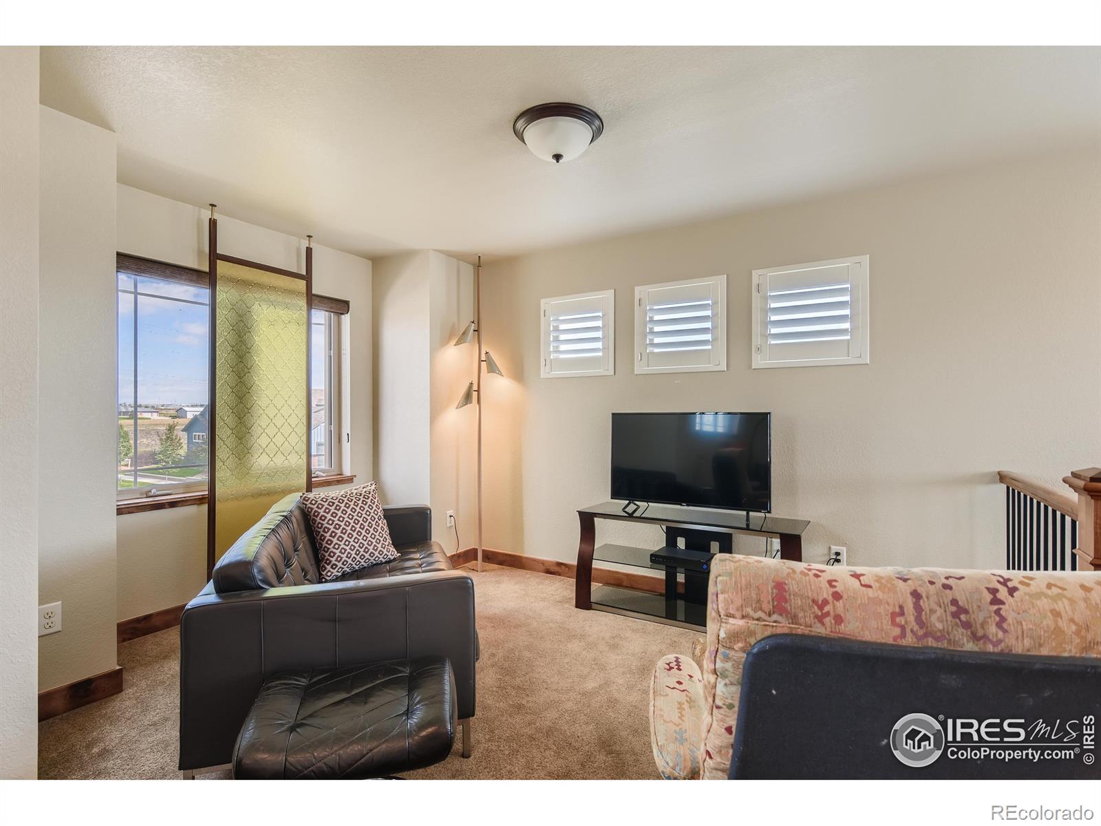 MLS Image #22 for 6941  summerwind court,timnath, Colorado