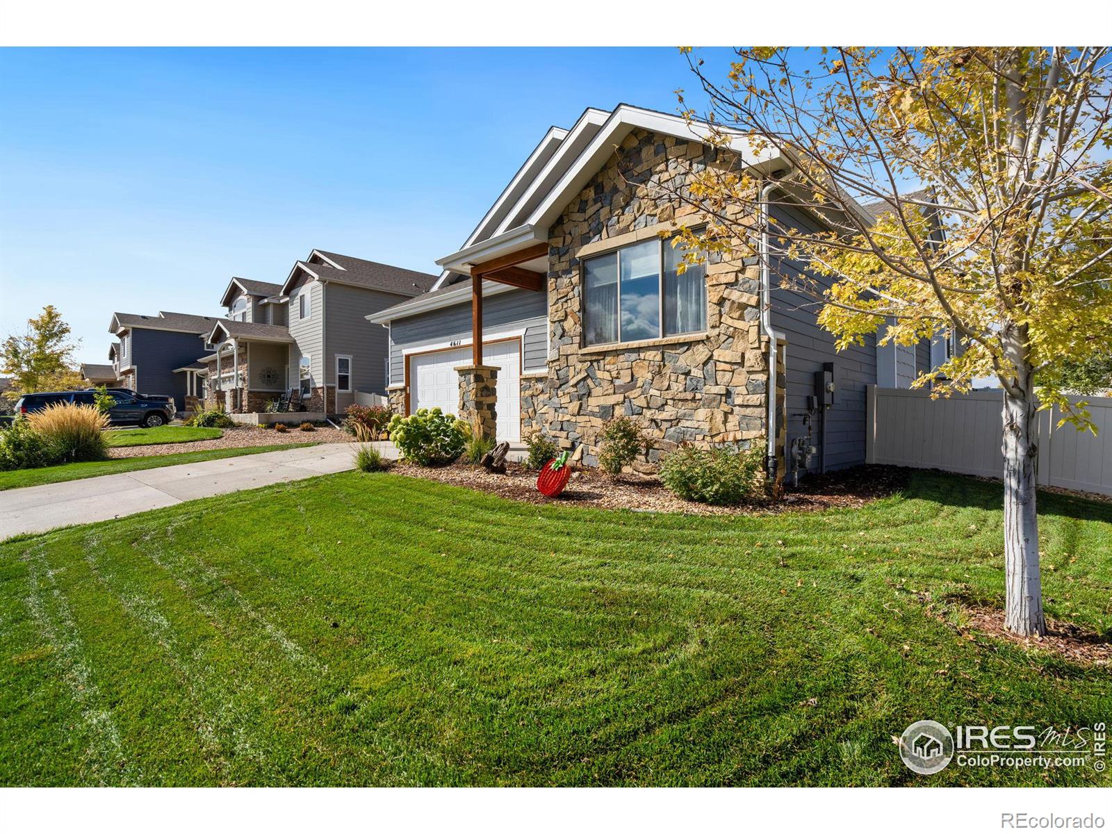 MLS Image #3 for 4611  horizon ridge drive,windsor, Colorado