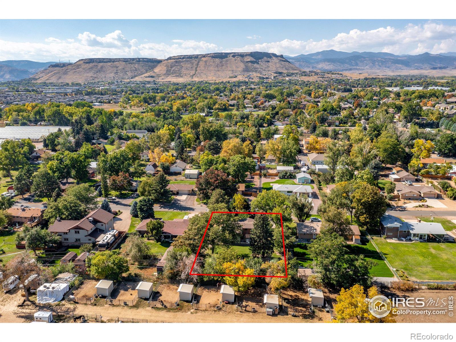 MLS Image #37 for 5290  gladiola street,arvada, Colorado