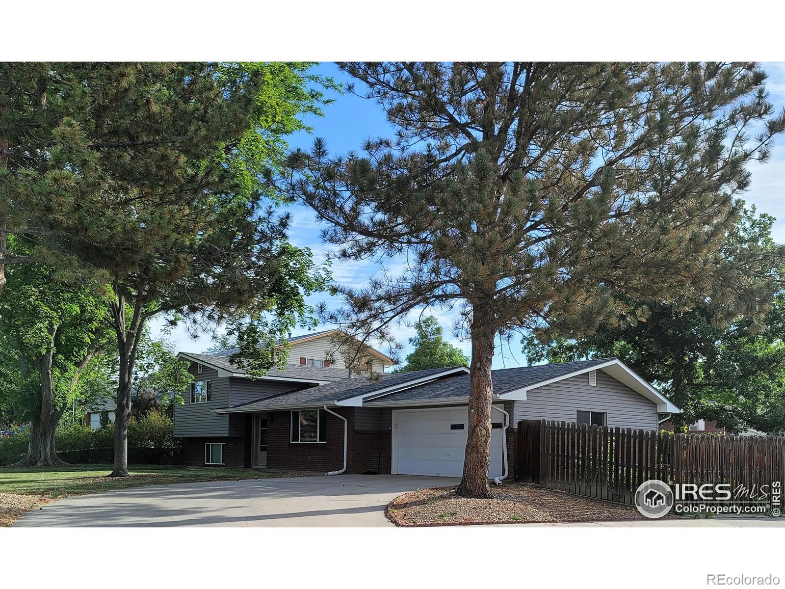 MLS Image #38 for 1500  frontier street,longmont, Colorado