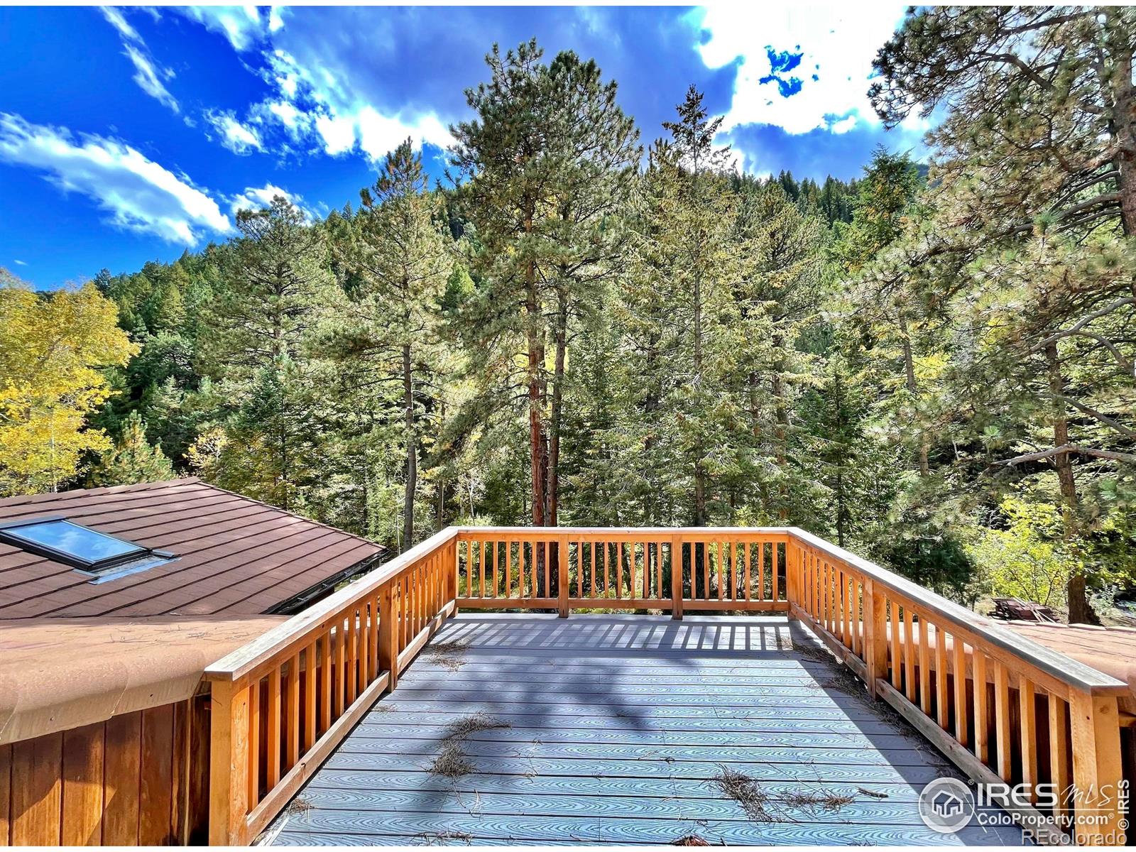 MLS Image #18 for 7647  lefthand canyon drive,jamestown, Colorado