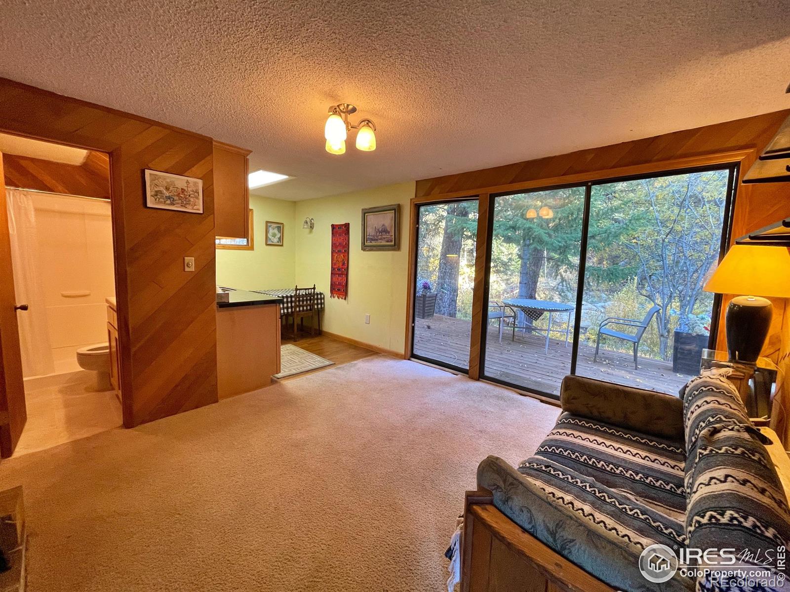 MLS Image #23 for 7647  lefthand canyon drive,jamestown, Colorado