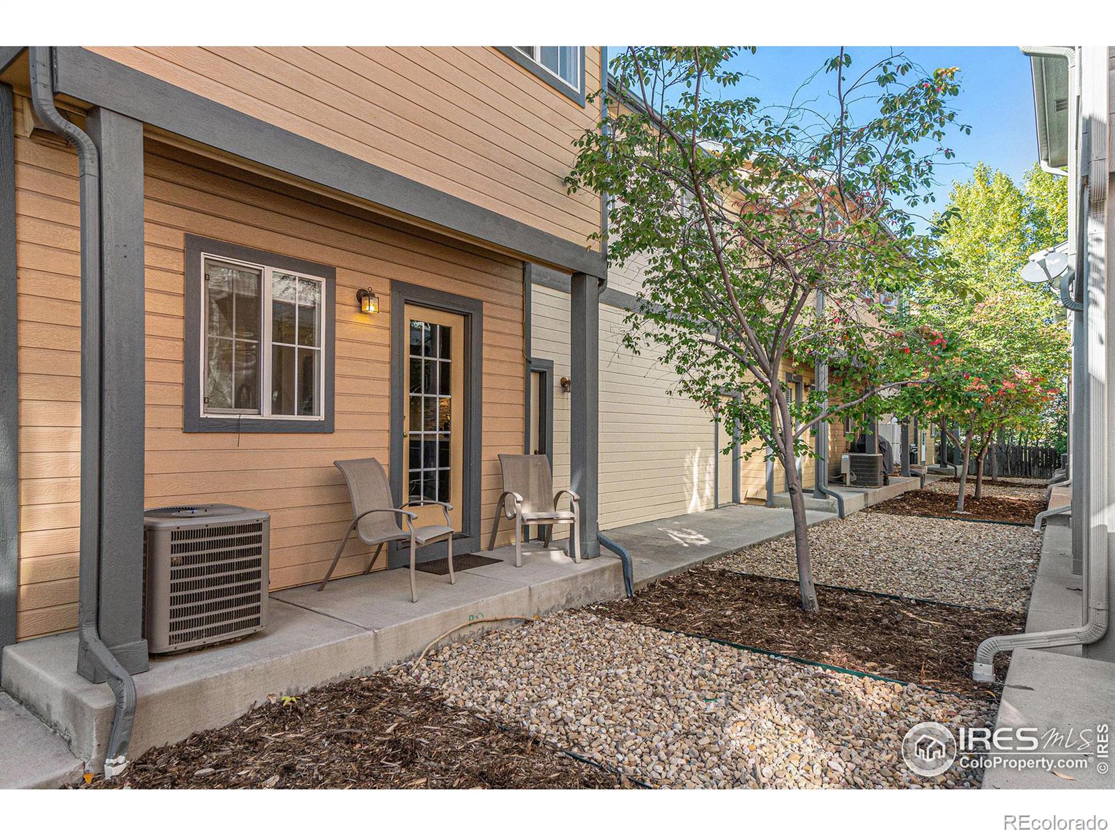 MLS Image #19 for 818 s terry street,longmont, Colorado