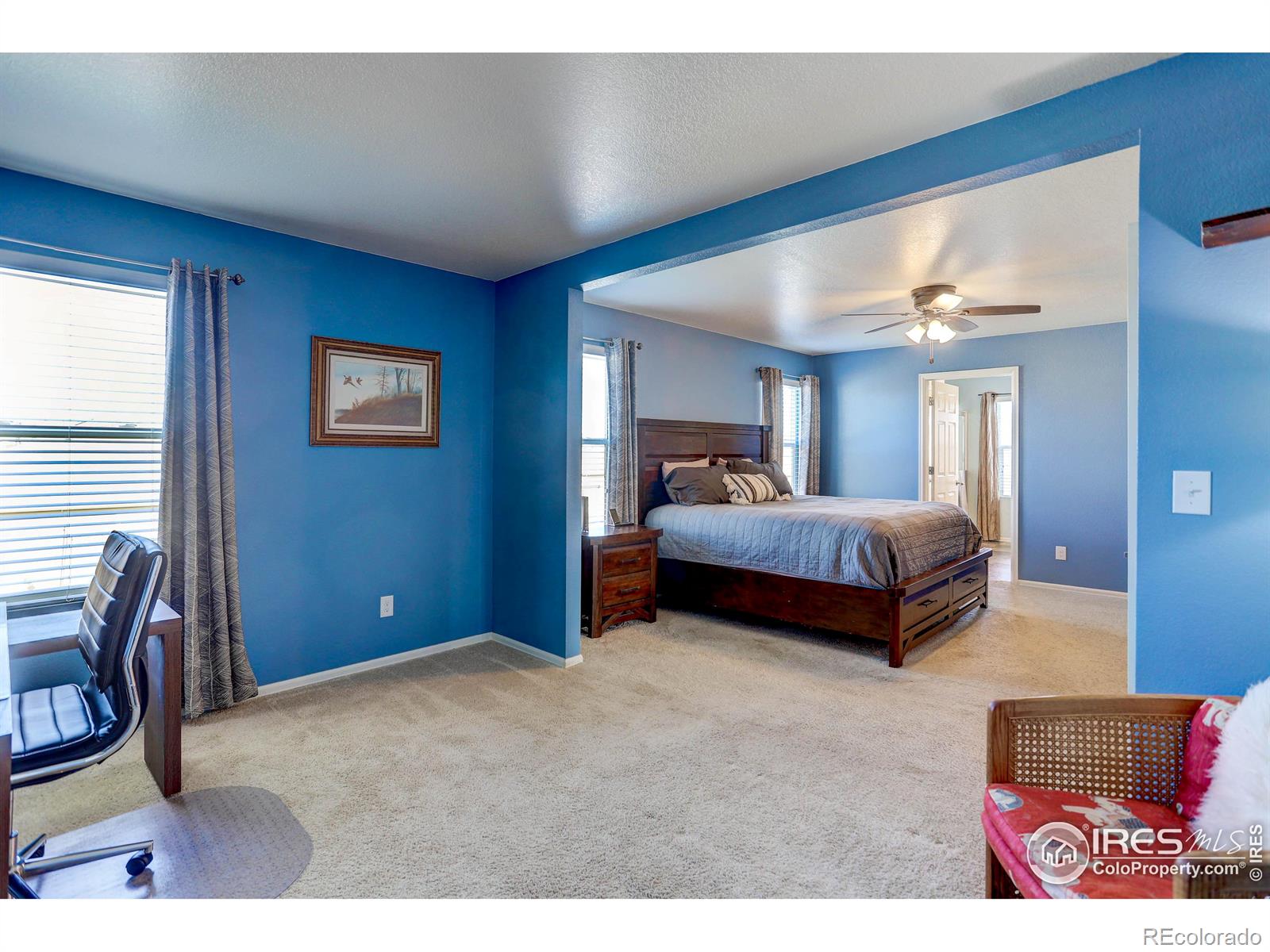 MLS Image #28 for 914  birchdale court,windsor, Colorado