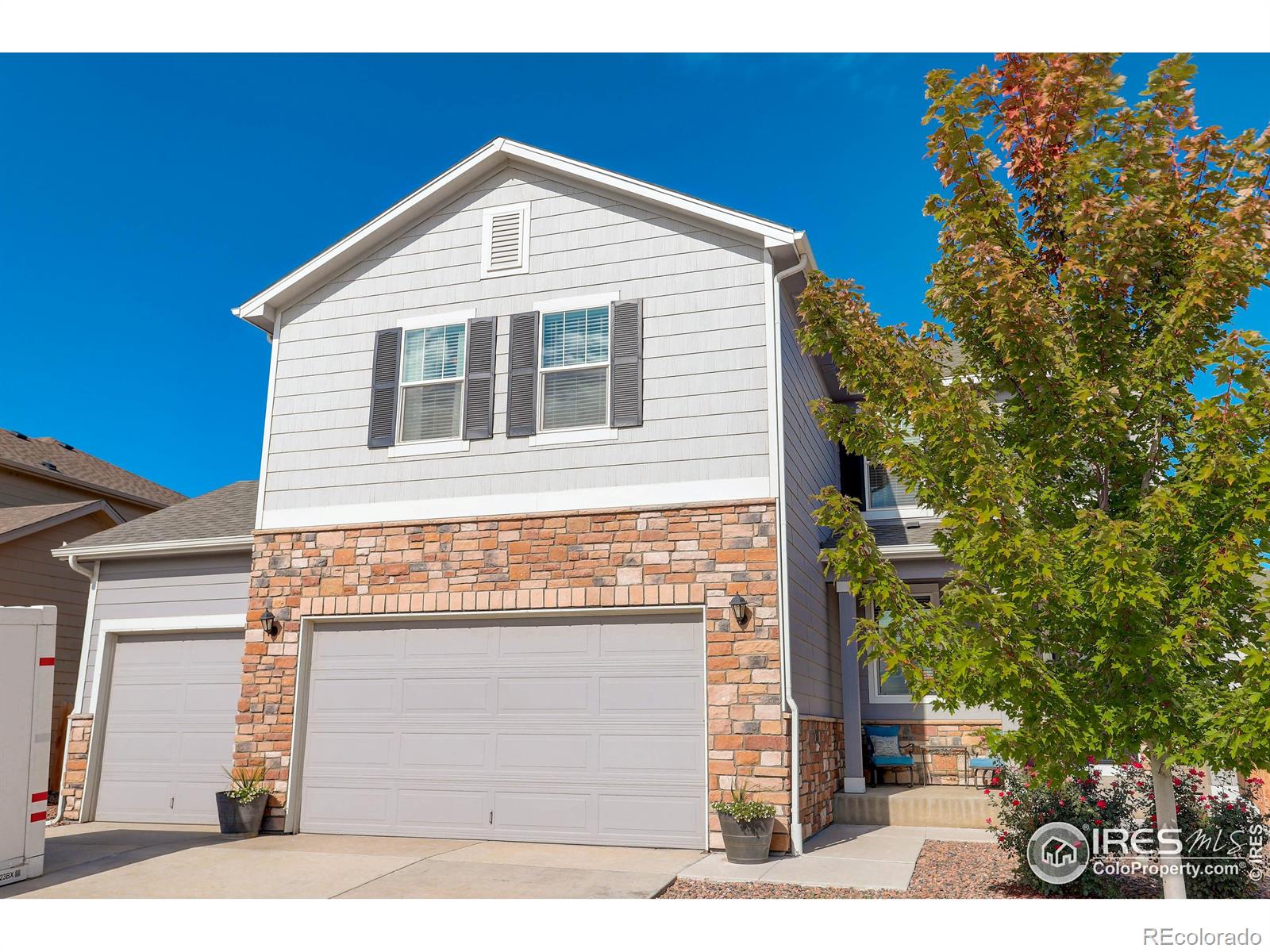 MLS Image #4 for 914  birchdale court,windsor, Colorado