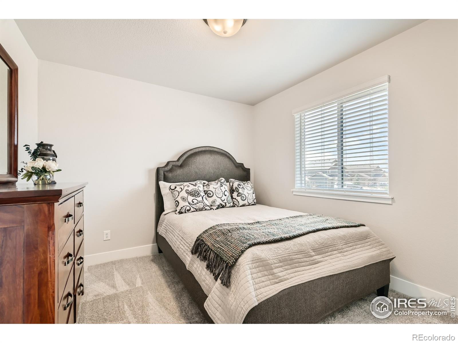 MLS Image #15 for 587  red jewel drive,windsor, Colorado