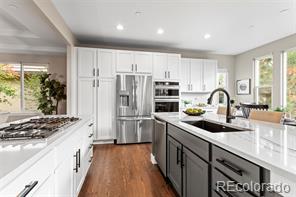 MLS Image #0 for 5083  hidden pond place,castle rock, Colorado