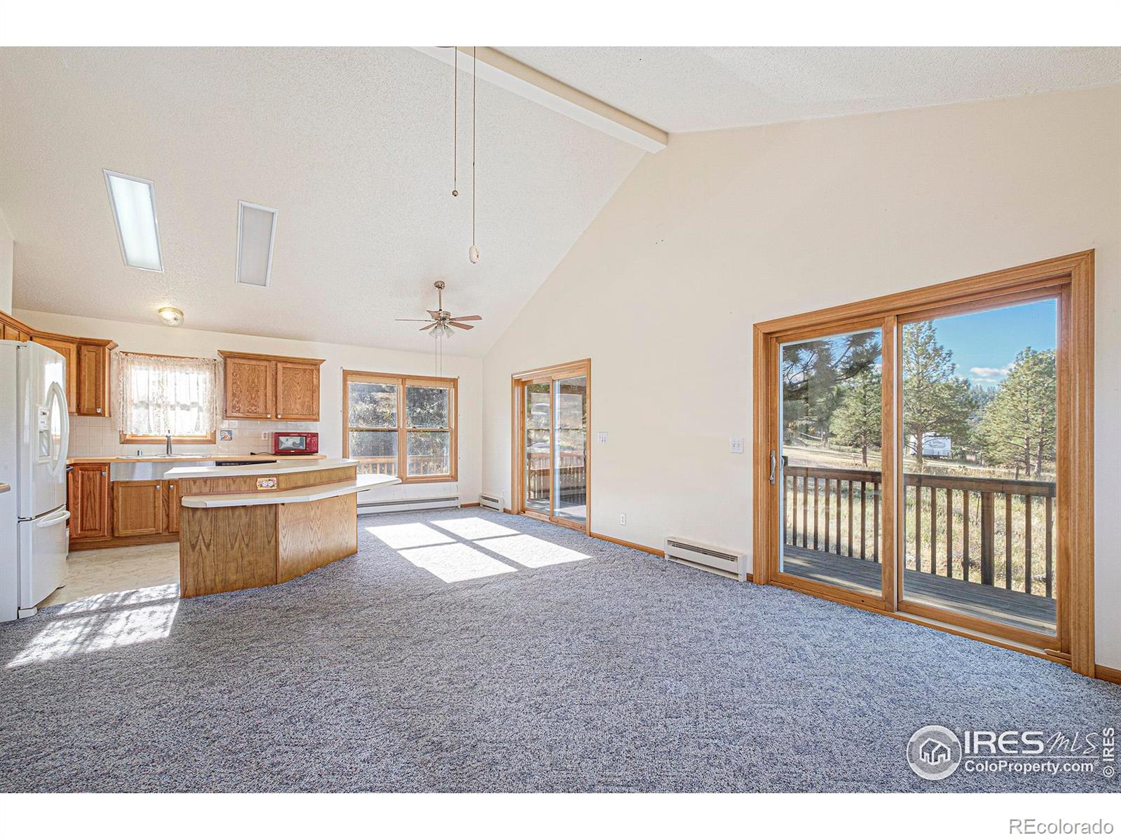 Report Image for 813  Palisade Mountain Drive,Drake, Colorado