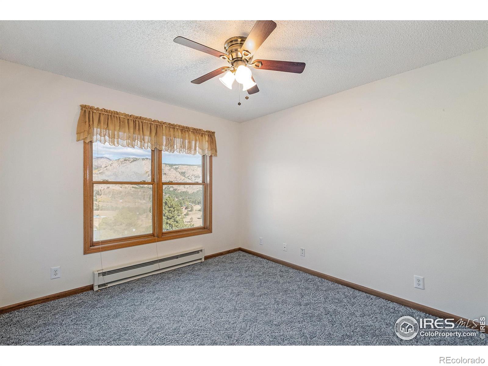 MLS Image #13 for 813  palisade mountain drive,drake, Colorado