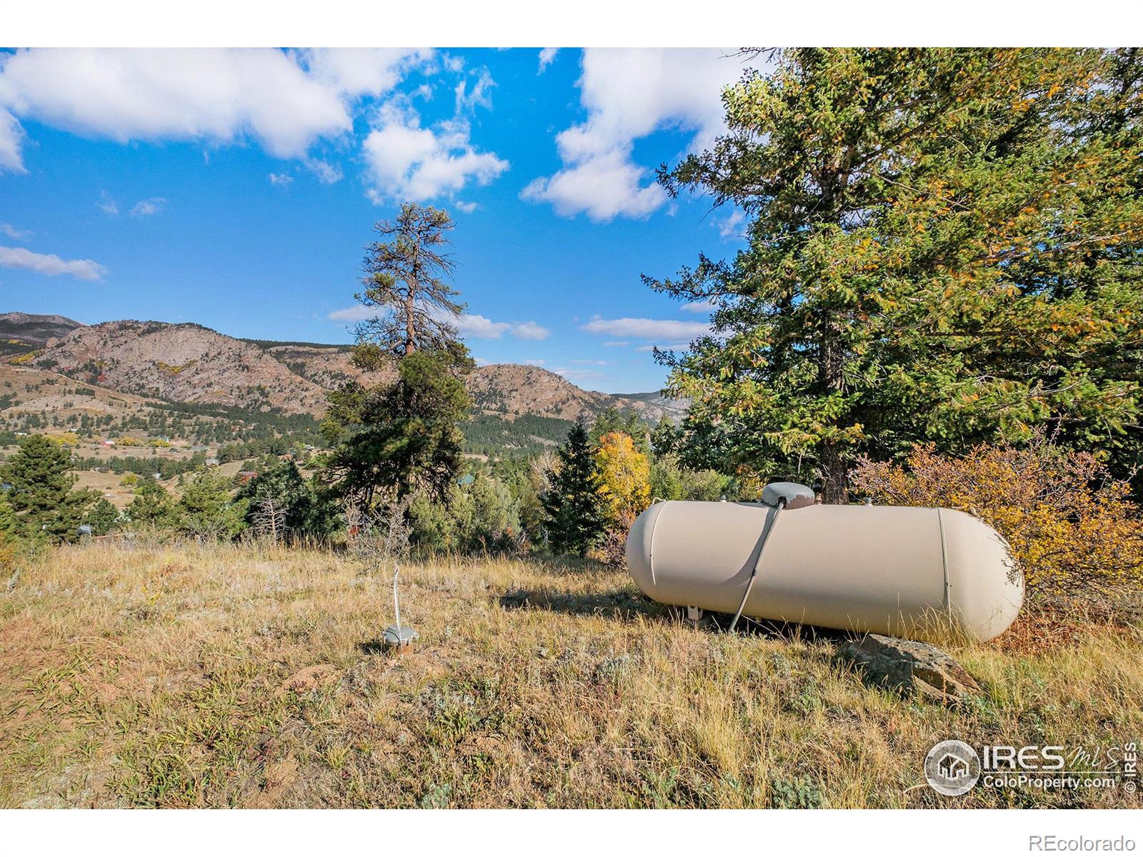 MLS Image #22 for 813  palisade mountain drive,drake, Colorado