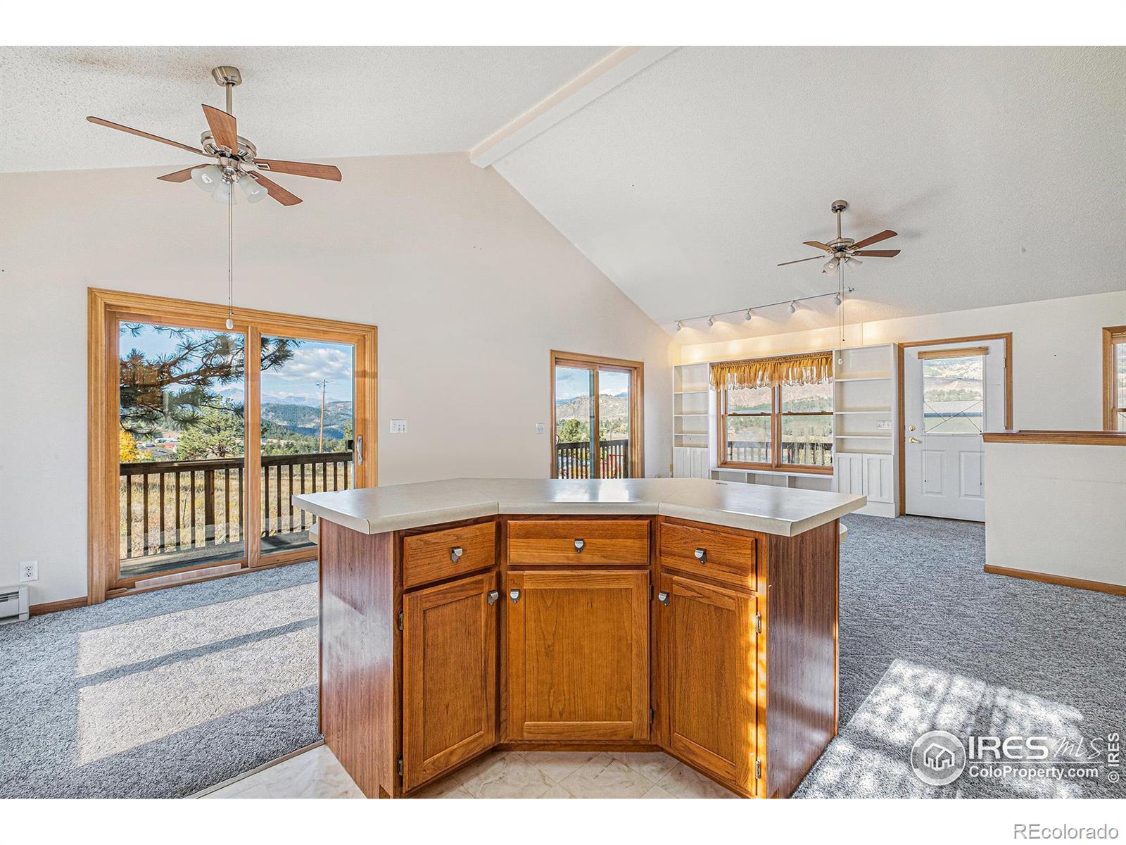 MLS Image #4 for 813  palisade mountain drive,drake, Colorado