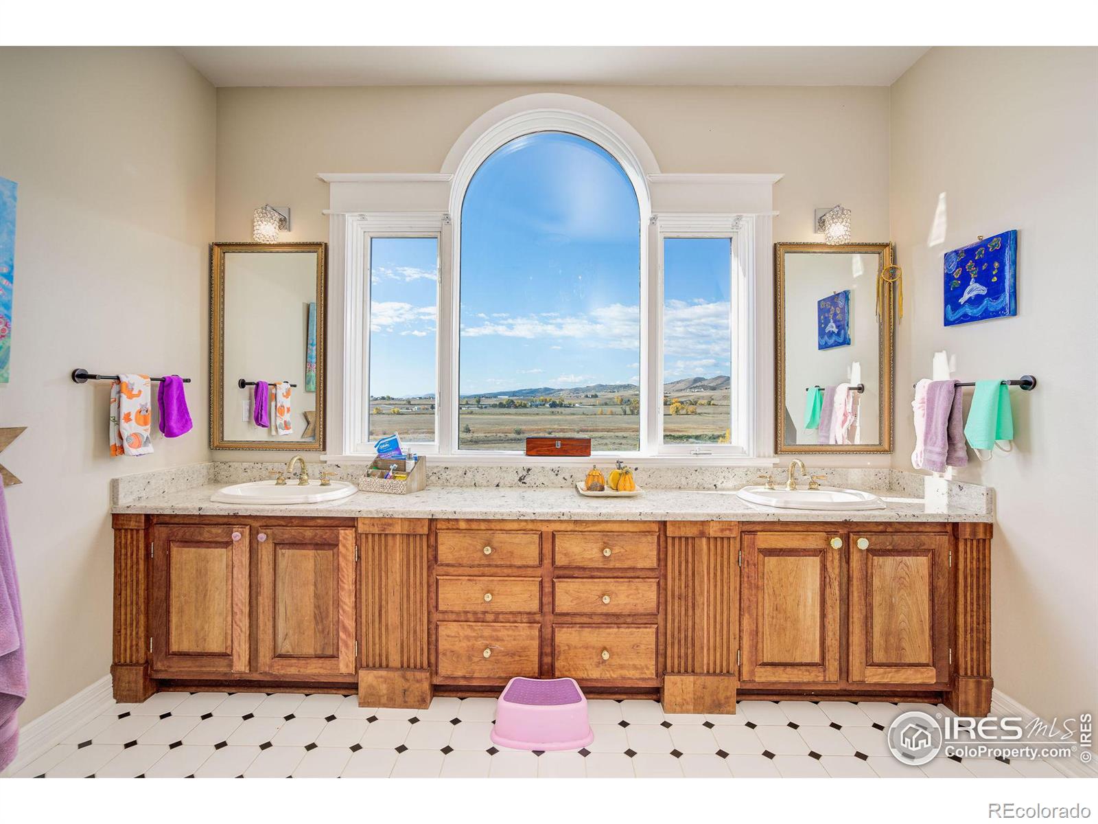 MLS Image #21 for 5407  wild plum drive,loveland, Colorado