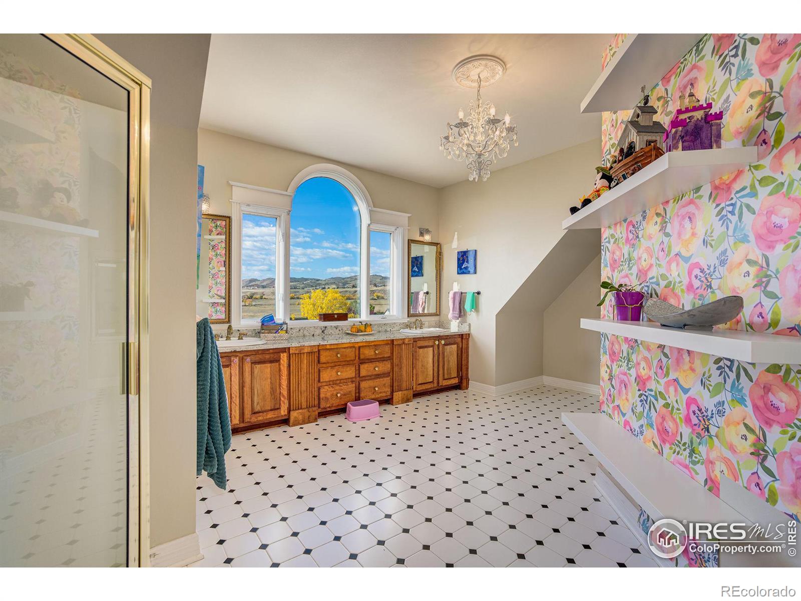 MLS Image #22 for 5407  wild plum drive,loveland, Colorado