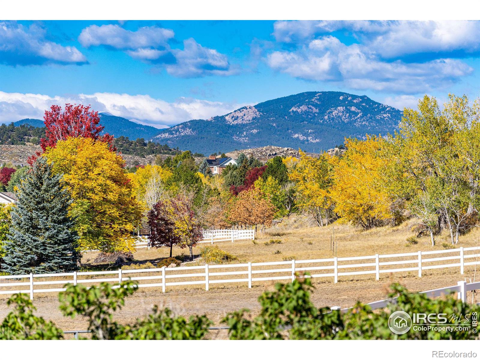 MLS Image #35 for 5407  wild plum drive,loveland, Colorado