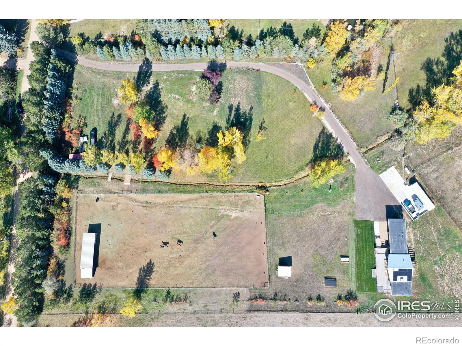 MLS Image #12 for 9302  tollgate drive,longmont, Colorado