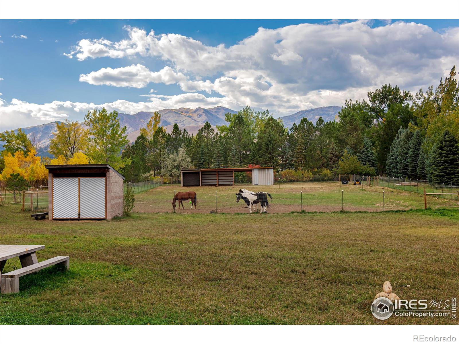 MLS Image #3 for 9302  tollgate drive,longmont, Colorado