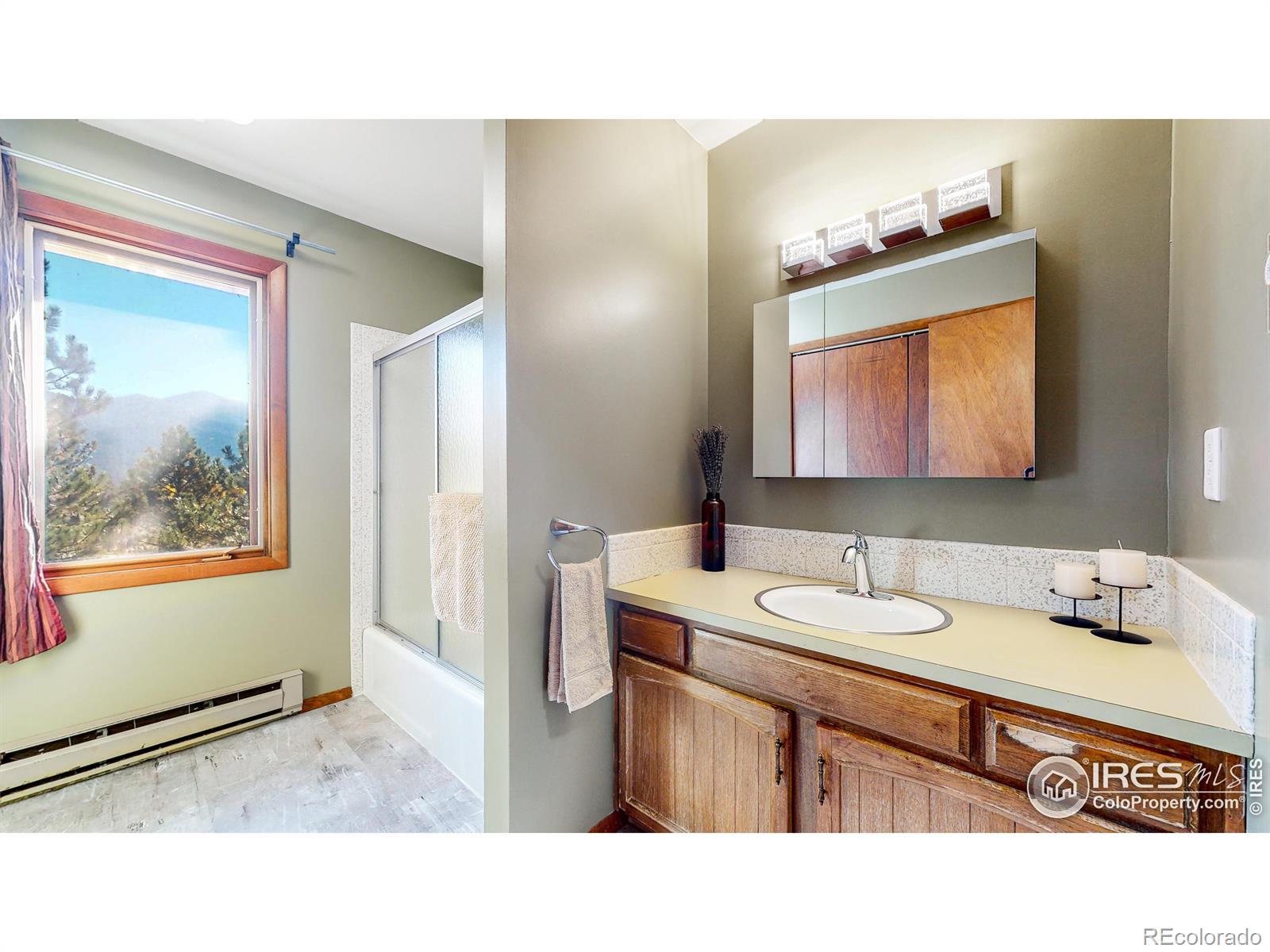 MLS Image #15 for 3001  carriage drive,estes park, Colorado