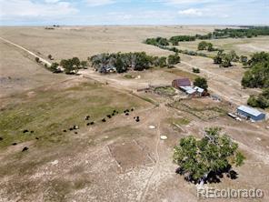 MLS Image #0 for 12501  county road 11.6 ,ramah, Colorado