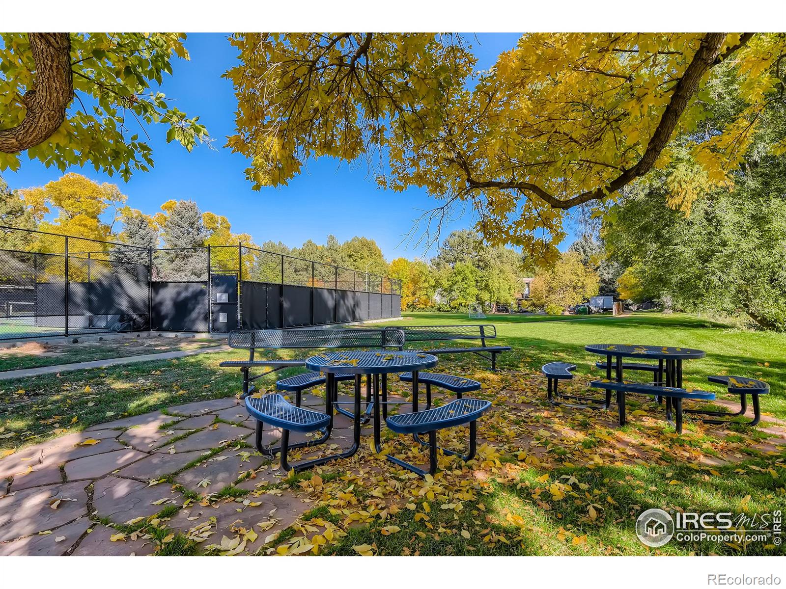 MLS Image #22 for 1500  kirkwood drive,fort collins, Colorado