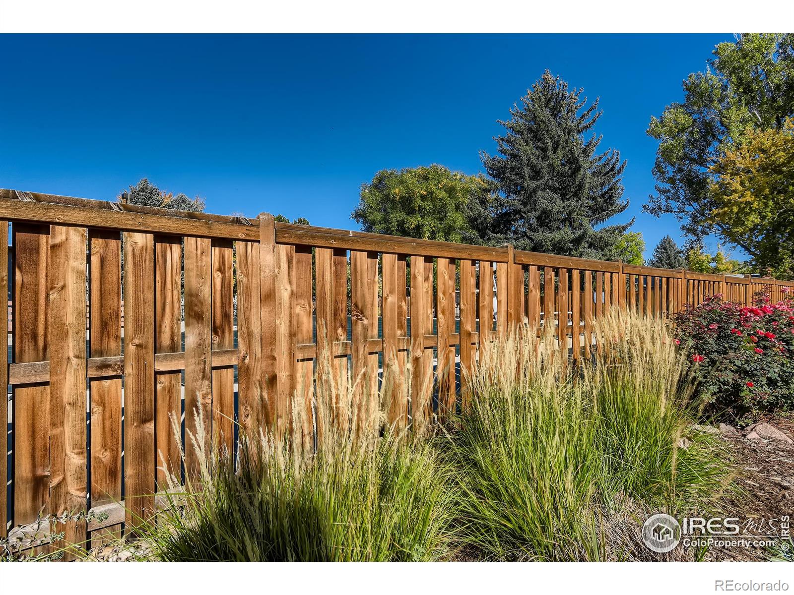 MLS Image #25 for 1500  kirkwood drive,fort collins, Colorado