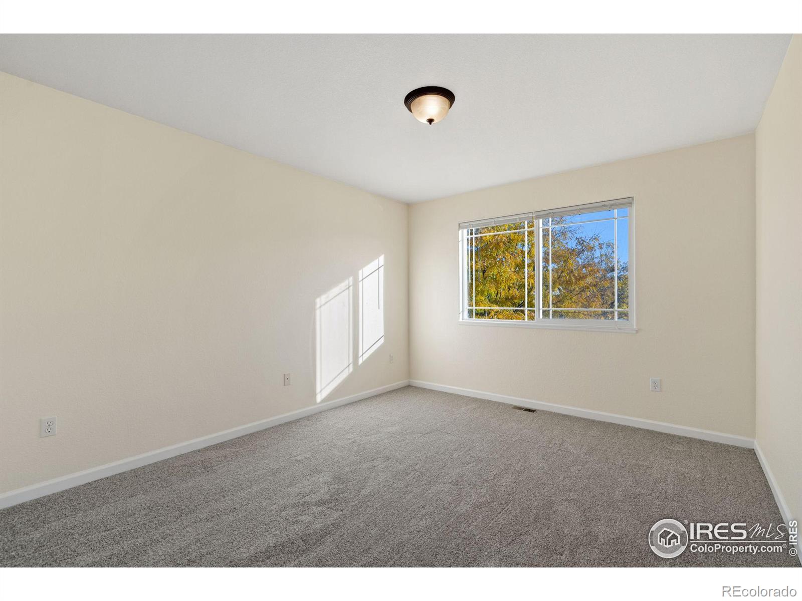 MLS Image #21 for 1415  sailcrest court,fort collins, Colorado