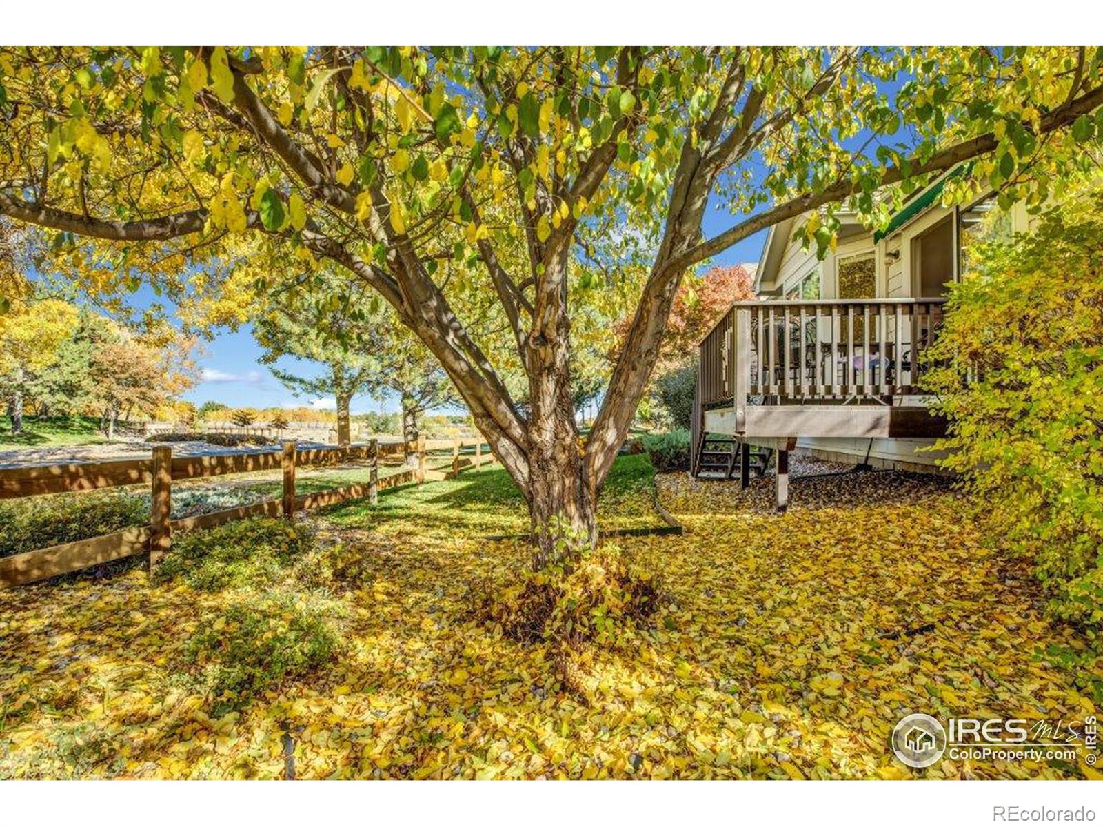 CMA Image for 386  Medina Court,Loveland, Colorado