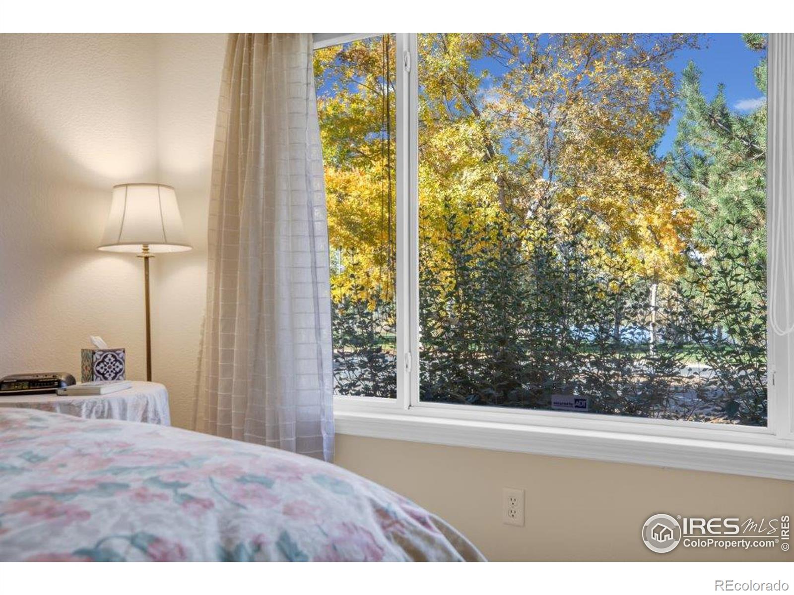 MLS Image #13 for 386  medina court,loveland, Colorado