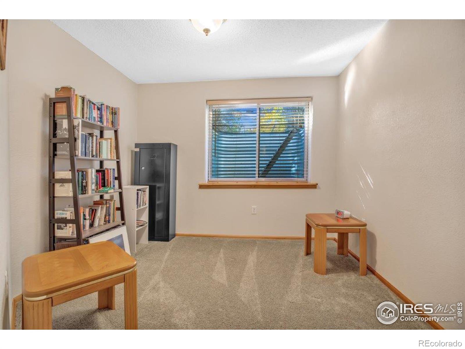 MLS Image #15 for 386  medina court,loveland, Colorado