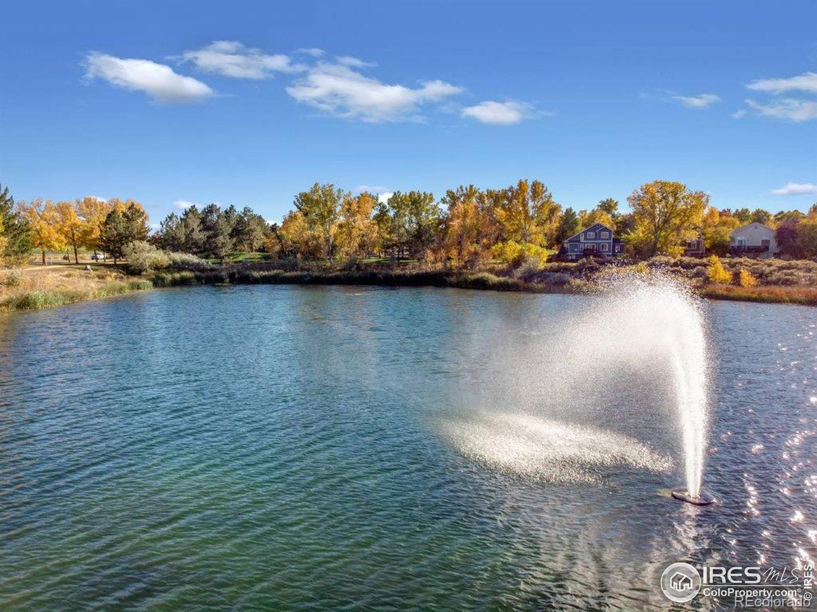 MLS Image #20 for 386  medina court,loveland, Colorado