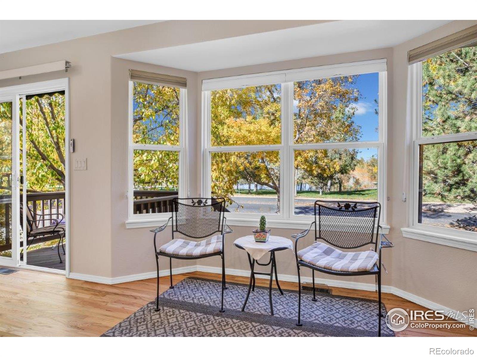MLS Image #8 for 386  medina court,loveland, Colorado