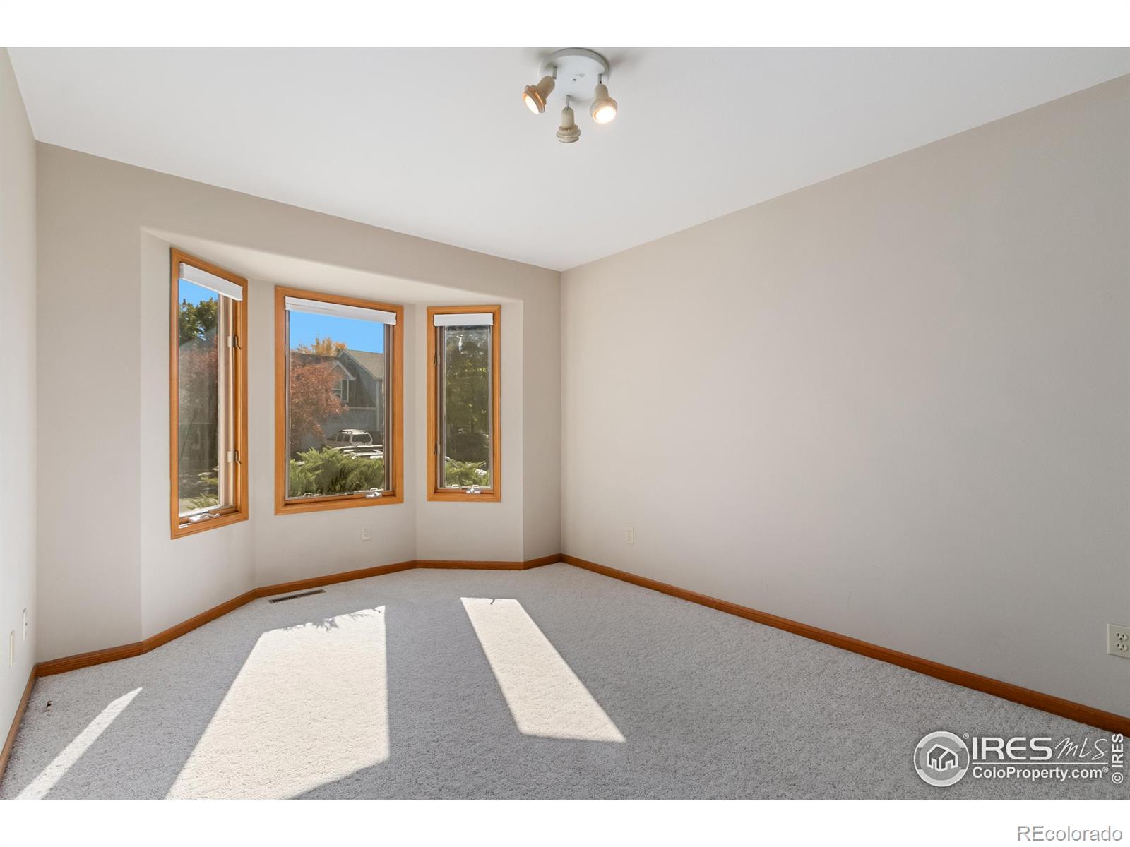 MLS Image #16 for 2618  red mountain court,fort collins, Colorado