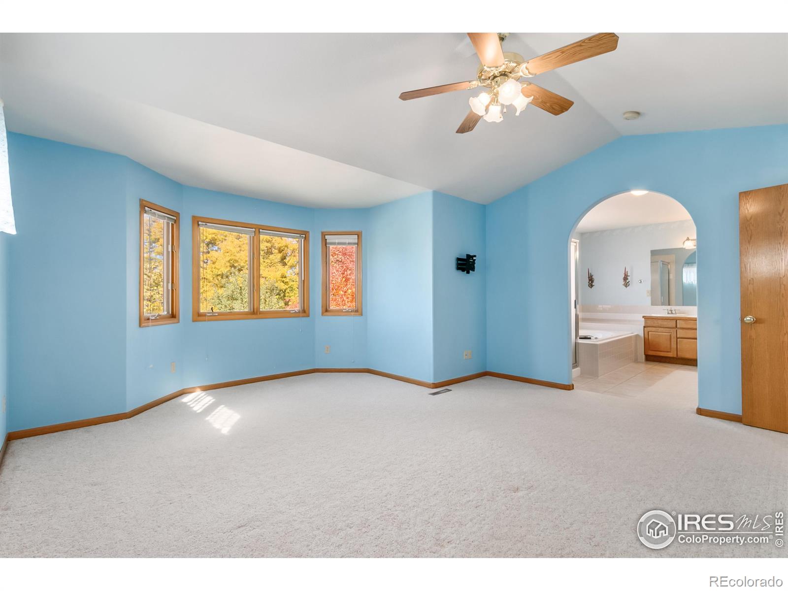 MLS Image #21 for 2618  red mountain court,fort collins, Colorado