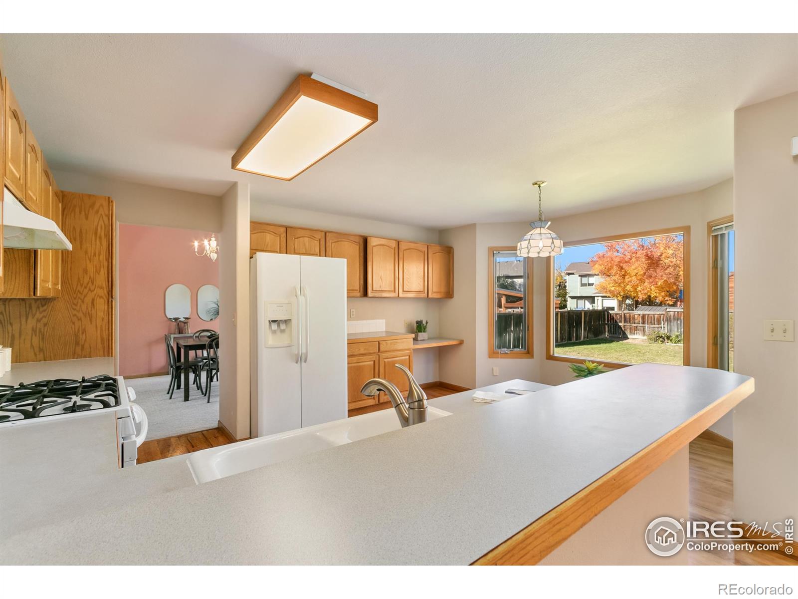 MLS Image #8 for 2618  red mountain court,fort collins, Colorado