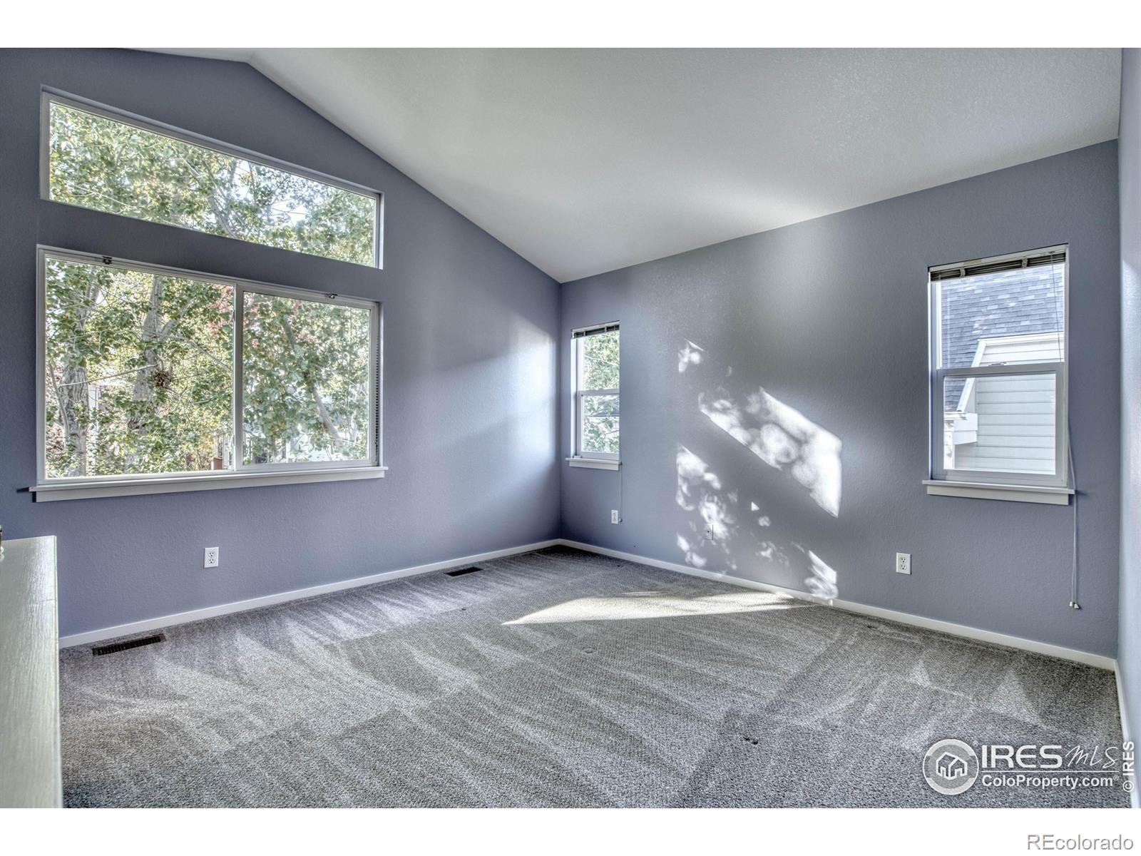 MLS Image #14 for 740  boxwood lane,longmont, Colorado