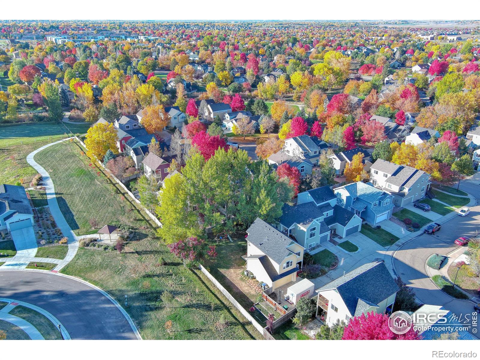 MLS Image #26 for 740  boxwood lane,longmont, Colorado