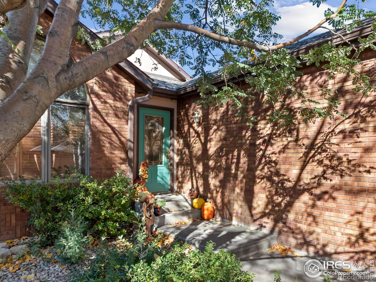 MLS Image #2 for 1001  43rd avenue,greeley, Colorado