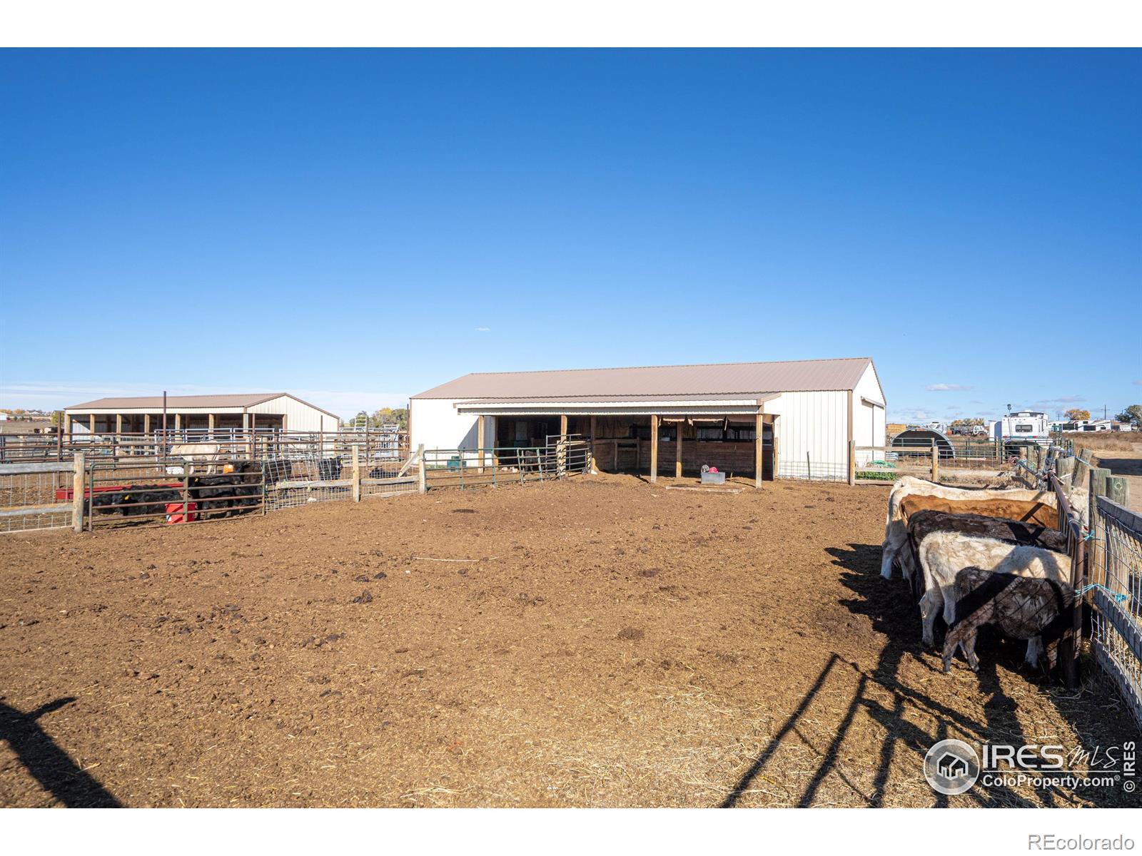 MLS Image #10 for 33105  county road 55 ,gill, Colorado