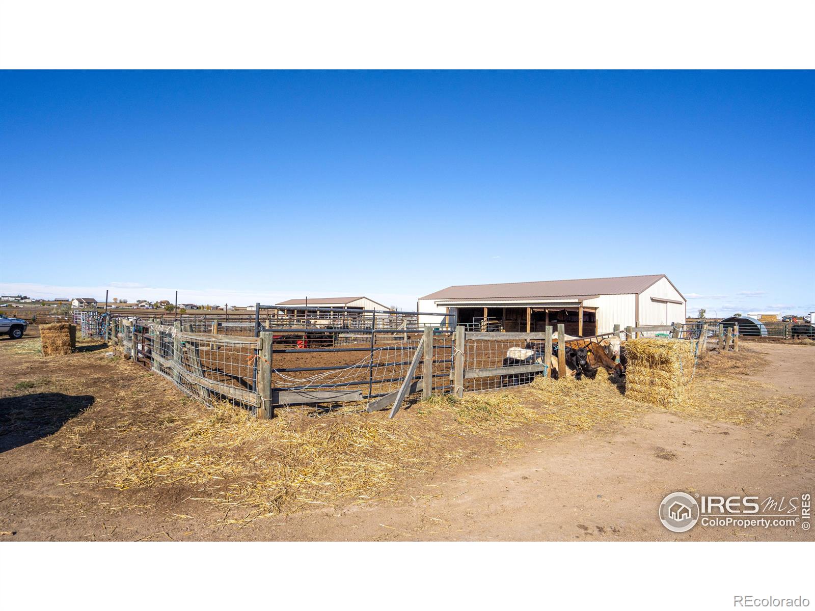 MLS Image #11 for 33105  county road 55 ,gill, Colorado