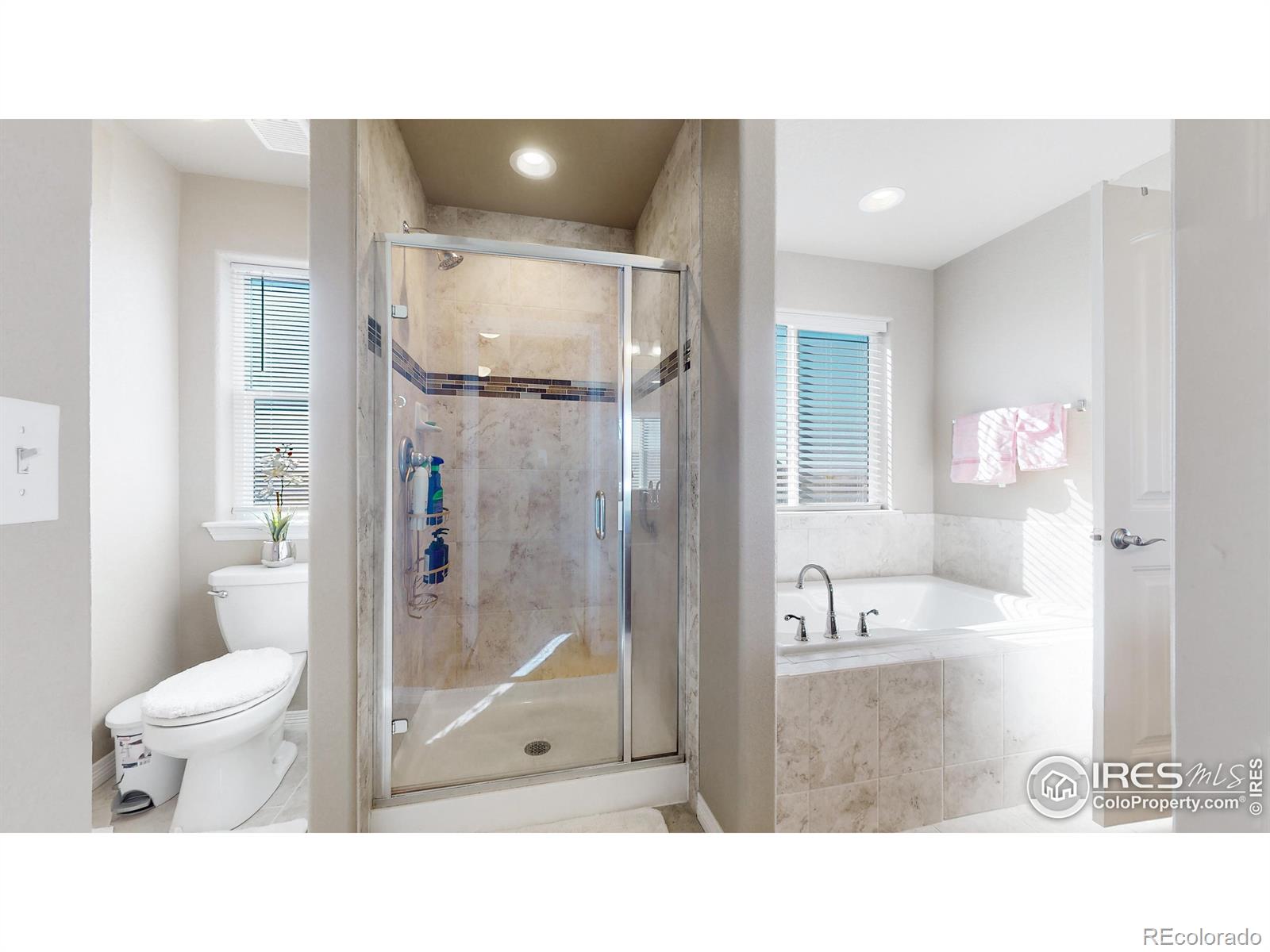 MLS Image #24 for 4442  binfield drive,windsor, Colorado