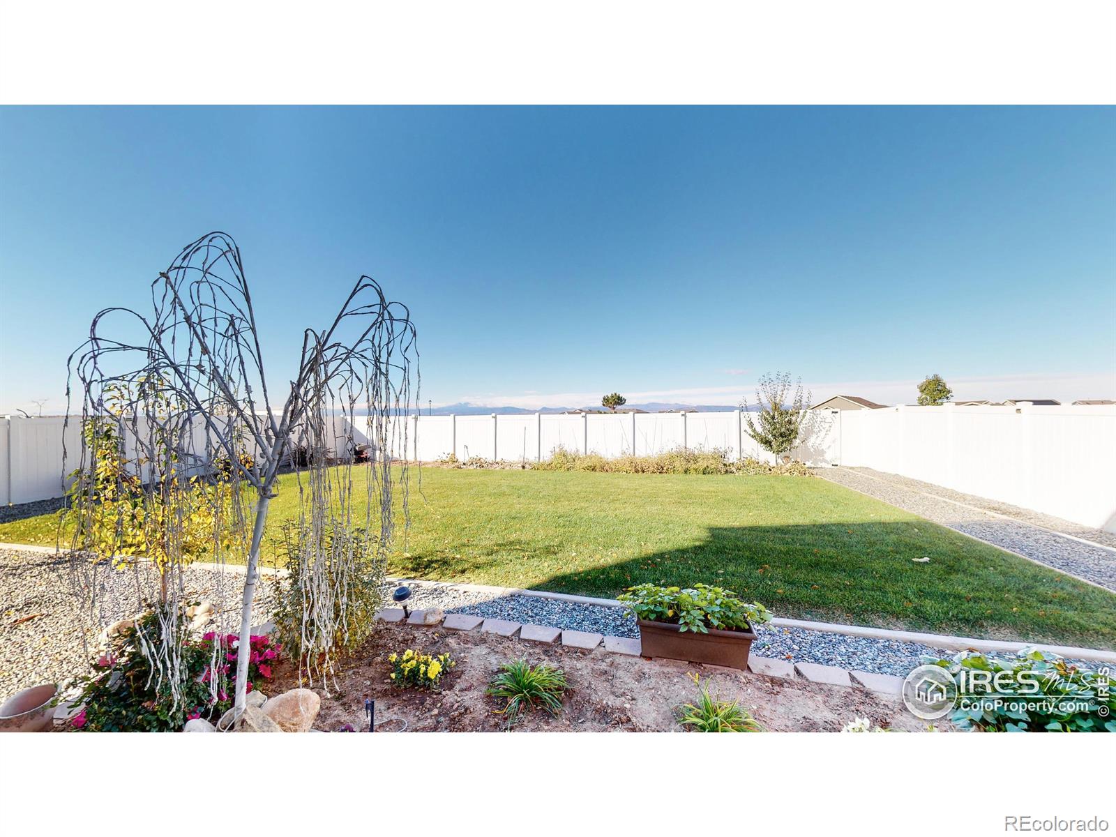 MLS Image #35 for 4442  binfield drive,windsor, Colorado