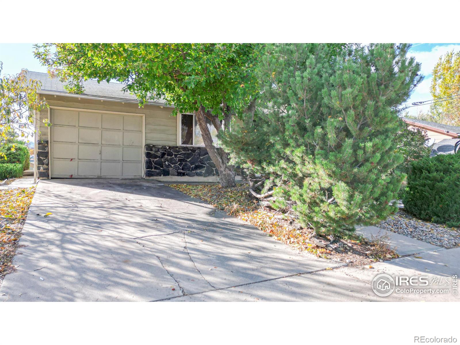 MLS Image #2 for 1301  lamplighter drive,longmont, Colorado