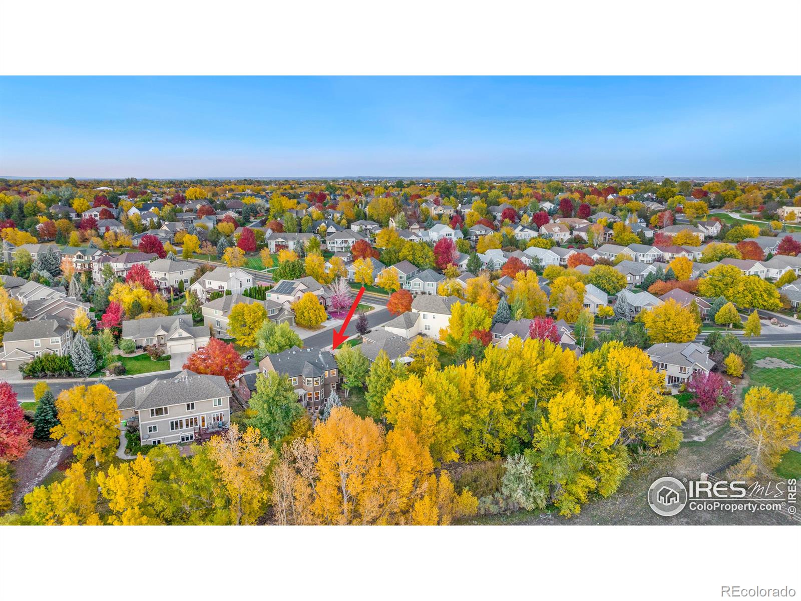 MLS Image #3 for 833  roma valley drive,fort collins, Colorado