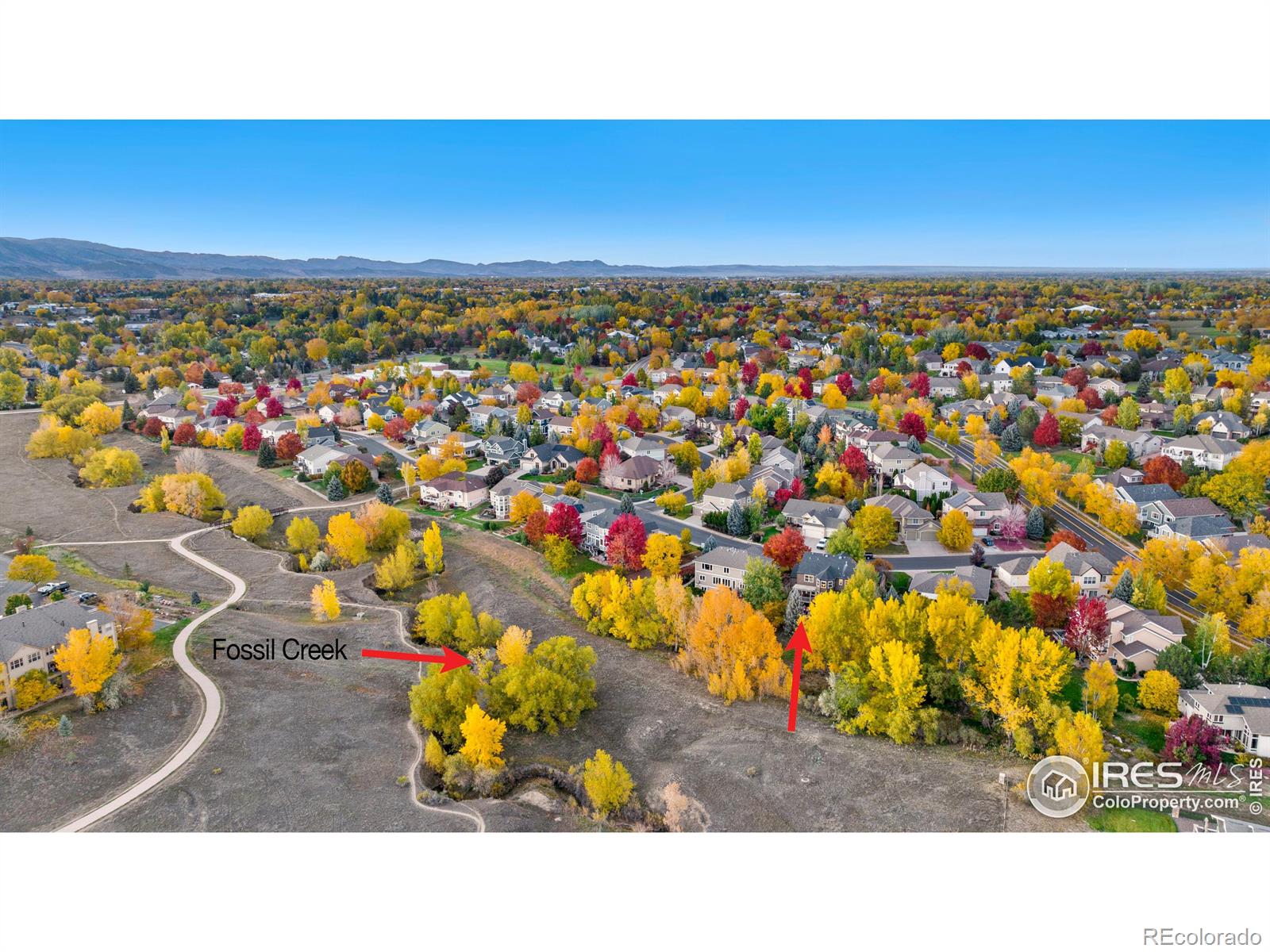 MLS Image #36 for 833  roma valley drive,fort collins, Colorado