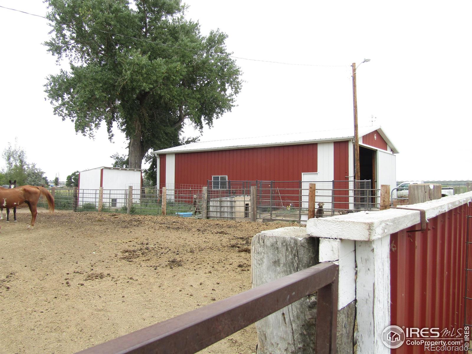 MLS Image #26 for 27768  county road r ,brush, Colorado