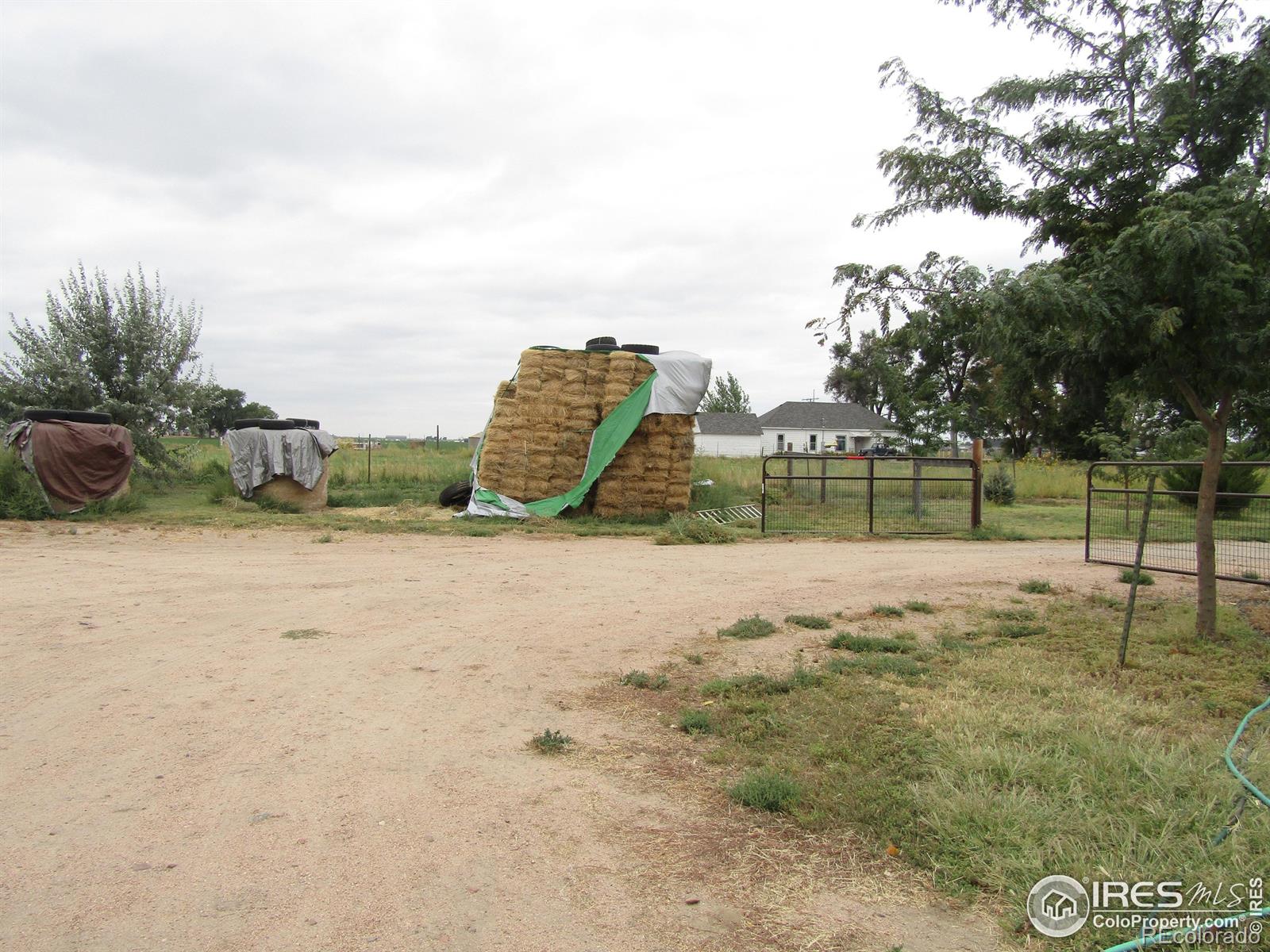 MLS Image #27 for 27768  county road r ,brush, Colorado