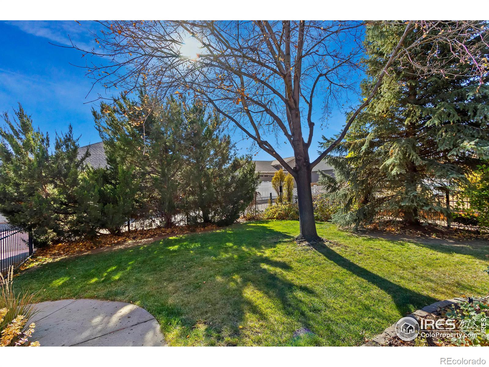 MLS Image #31 for 115 e indiana avenue,berthoud, Colorado