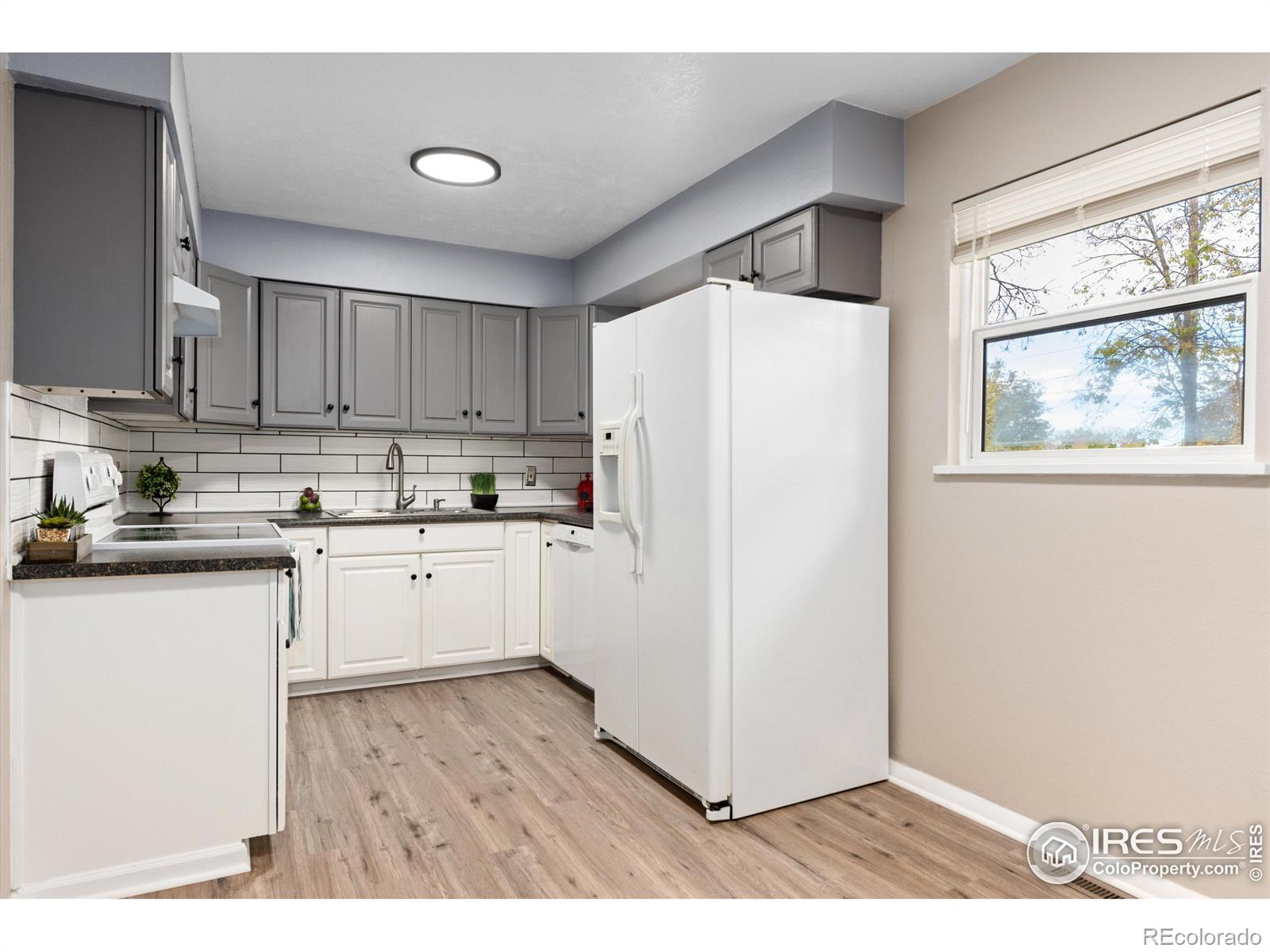 MLS Image #10 for 1120  sumac street,longmont, Colorado