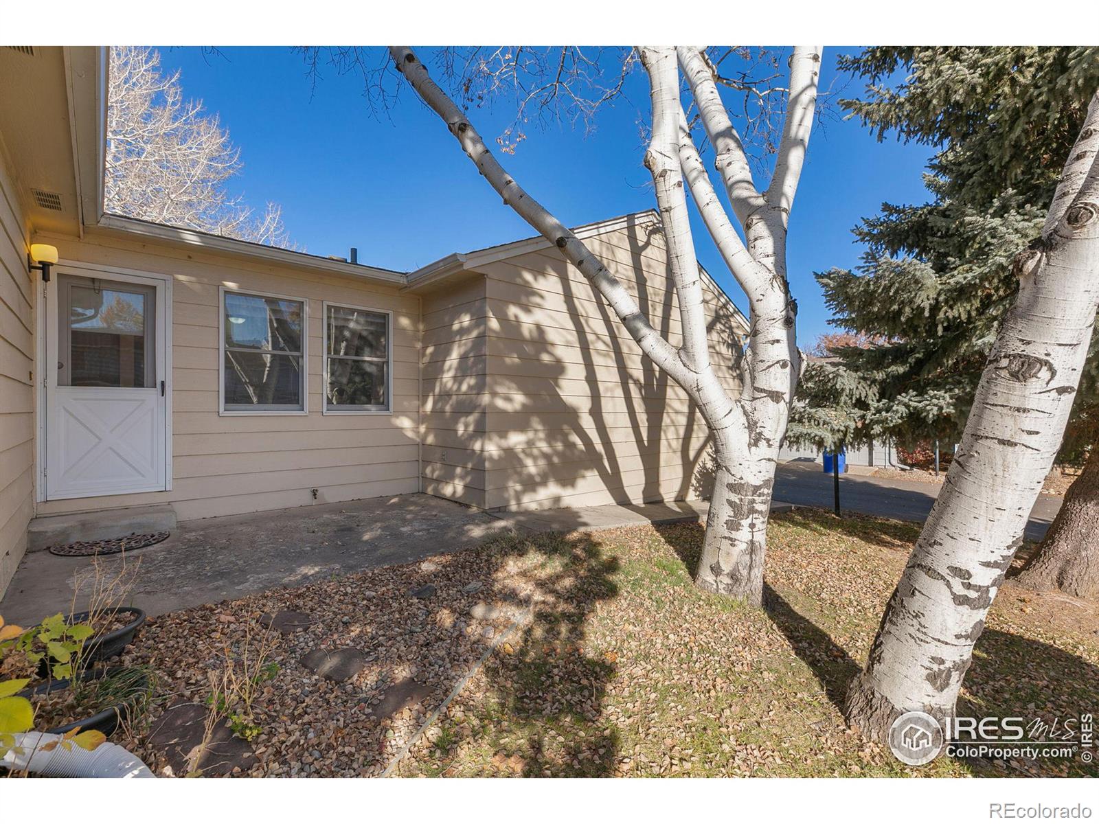 MLS Image #27 for 4204  pin oak drive,loveland, Colorado