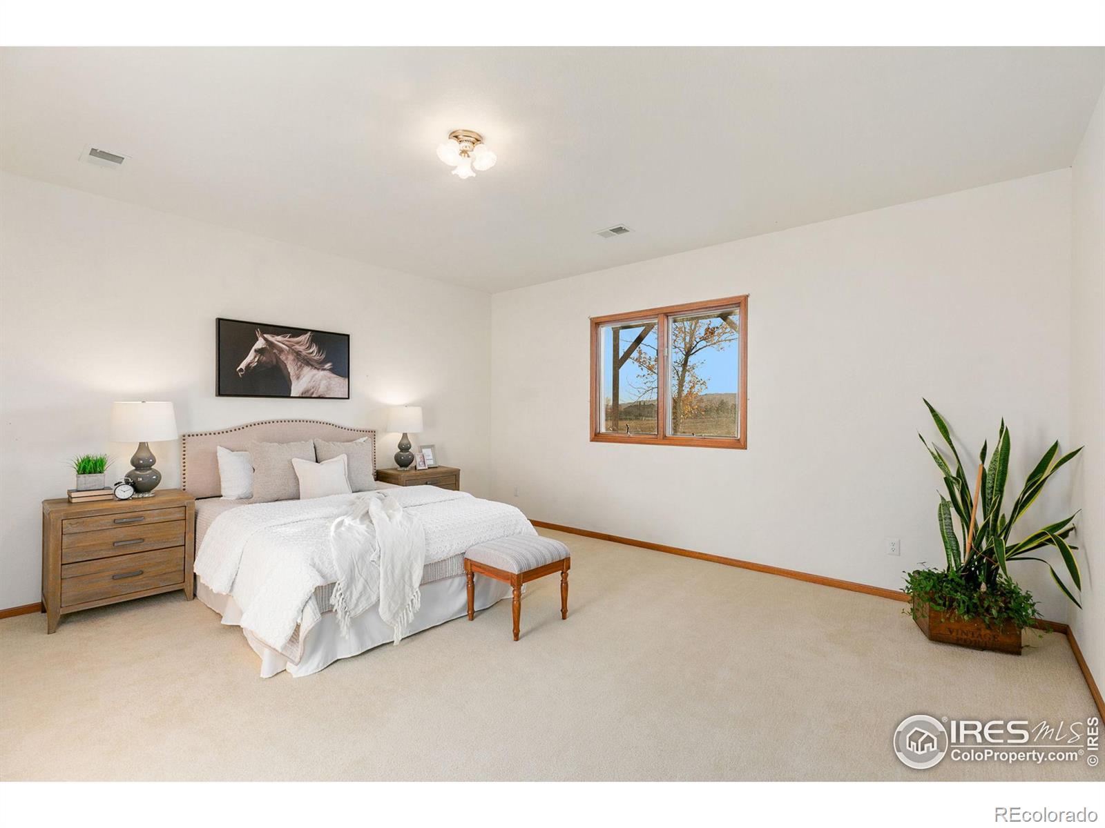 MLS Image #24 for 4523  eagle lake drive,fort collins, Colorado